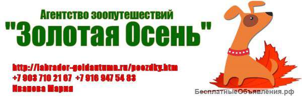 Поездки с собаками на выставки и соревнования