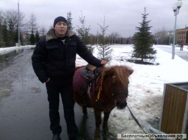 Сниму комнату