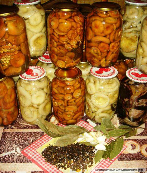 Грибы отличного качества