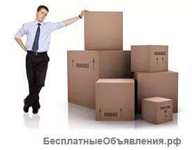 Помощник Кладовщика