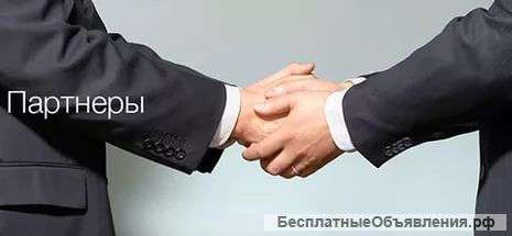 Требуется компаньон