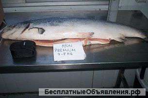 Рыба и морепродукты оптом в кратчайшие сроки