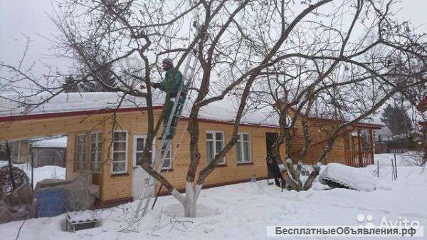 Обрезка яблонь