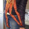 Краб камчатский