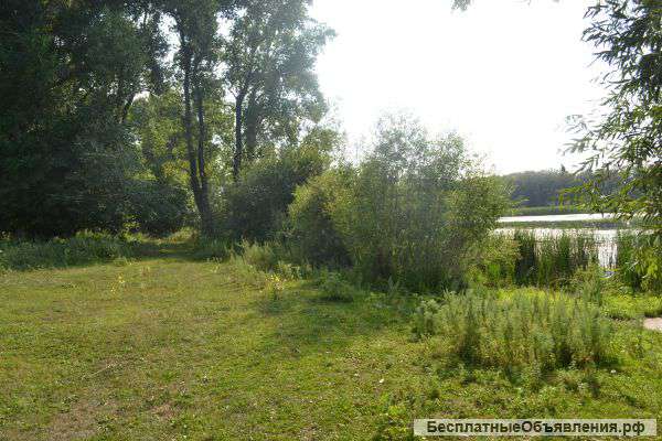 Участок у воды, потрясающая природа