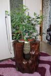 Цветочный горшок. Декоротивный