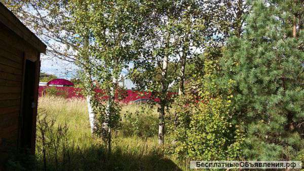 Участок 12 соток в СНТ Ландыш