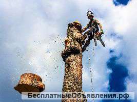 Пилим деревья