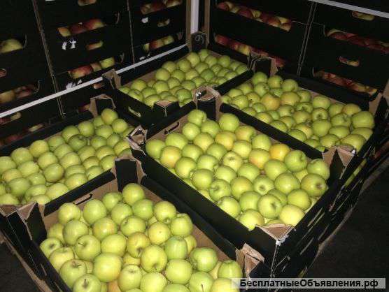Яблоки разных сортов оптом со склада
