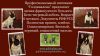 Французик подросток