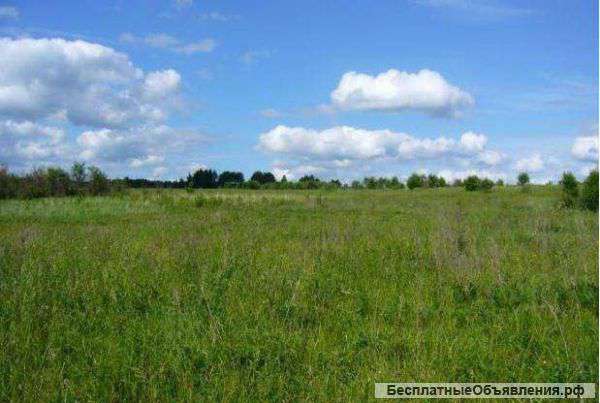 7 ГА в Калужской области, Тарусский район
