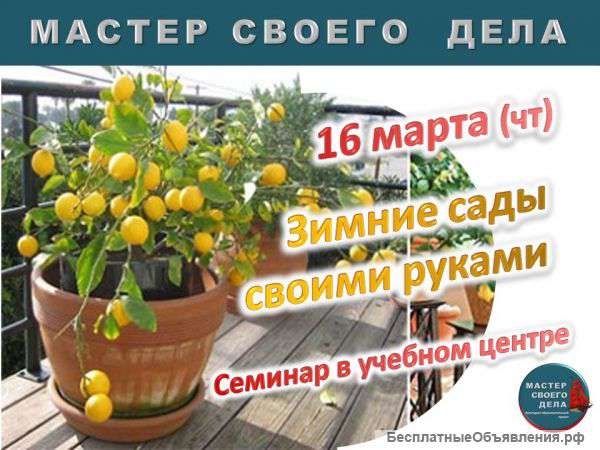 Семинар «Зимний сад своими руками»
