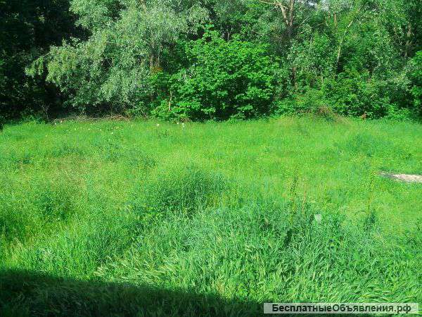 Продам участок в станице Азовской Краснодарского края.