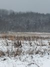 Земля сельхозназначения