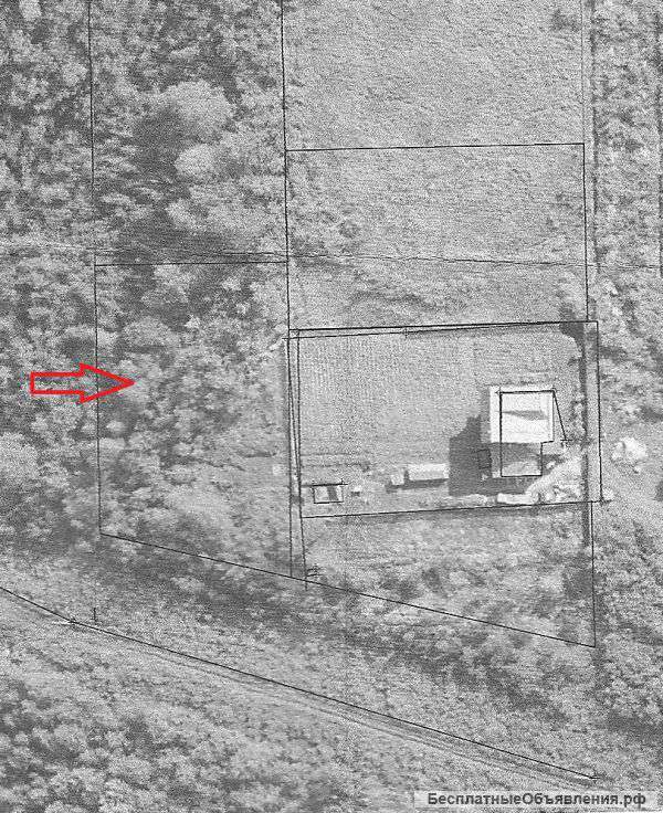 Лесная сказка