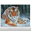 Алмазная вышивка
