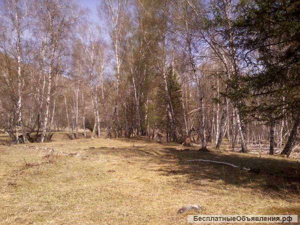 Срочно продается земельный участок в Республике Алтай.