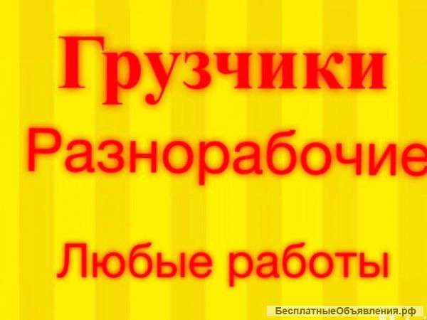 Грузчики - разнорабочие