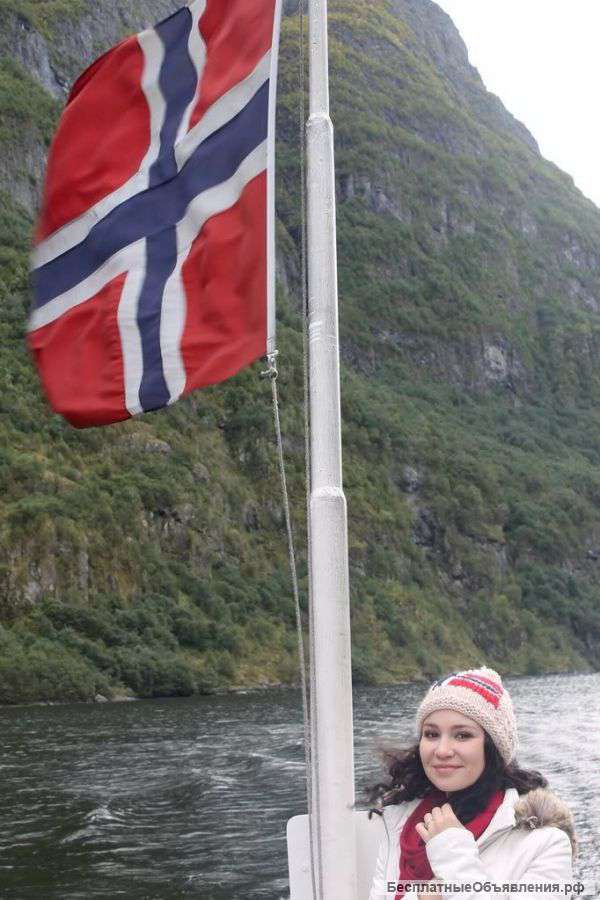 Репетитор по Английскому языку, переводчик