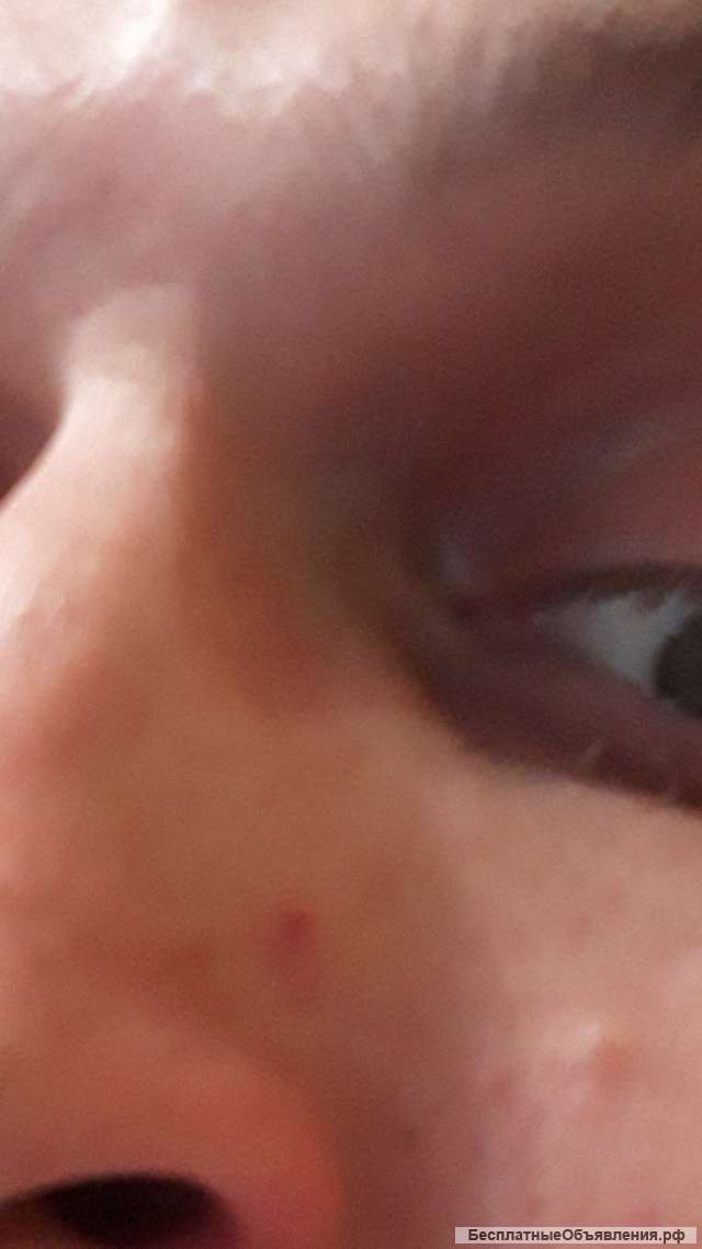 Ищу работу разнорабочим