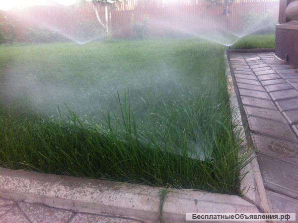 Укладка газона