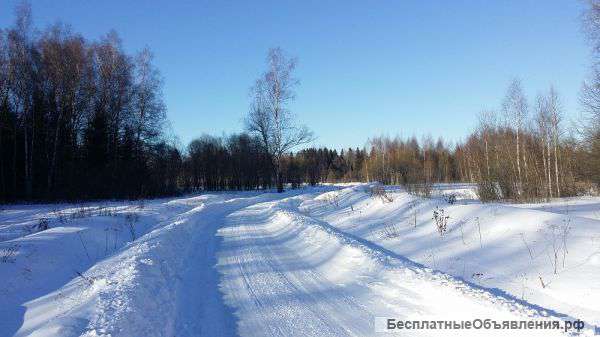 Участок в пос. Комарово