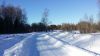Участок в пос. Комарово