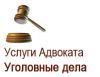 Адвокат Михай С.В. по уголовным делам