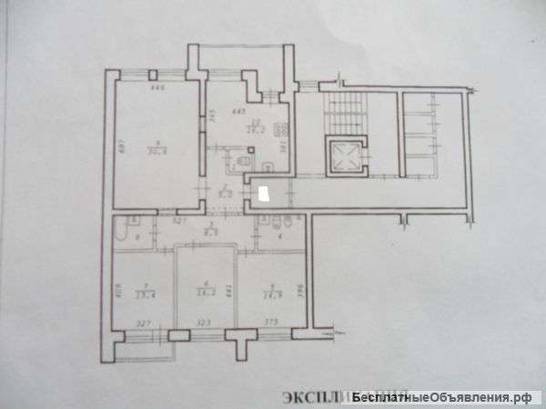 Семьи Шамшиных 41
