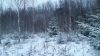 Участок в пос. Новый