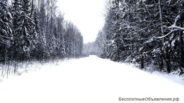 Участок в пос. Федорцово
