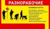 Грузчики, разнорабочие