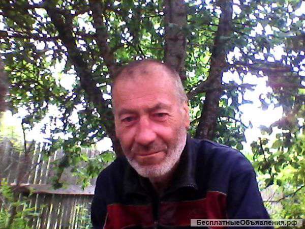 Накормите нас