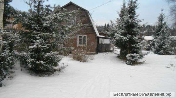 Дача в Лебедевке