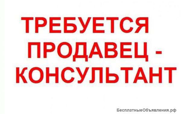 Продавец - консультант