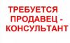 Продавец - консультант