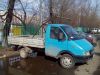 Газель катюша