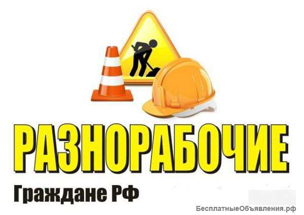 Разнорабочие