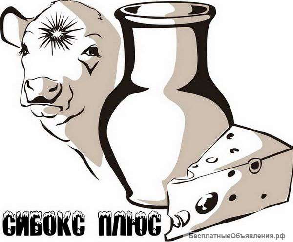 Сливочное масло. Спред. Сыр.