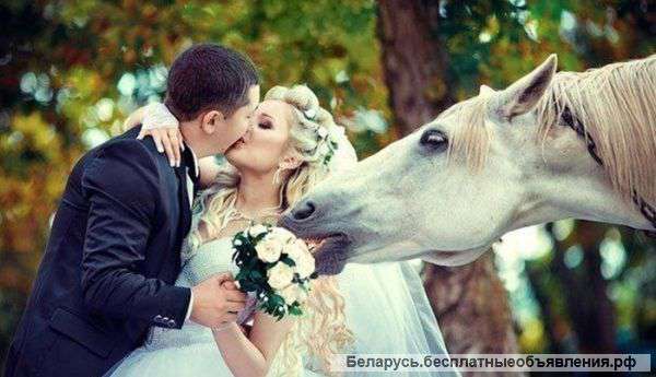 Свадебная, студийная, выездная съемка. Подарочные сертификаты.