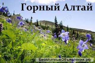 Пеший активный тур по Алтаю