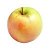 Яблоко Ренет Золотой