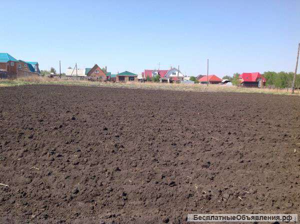 80 сот.земли для выращивания корнеплодов, овощей, зелени