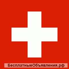 Ищу партнёров