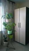 2-х комнт.п Яблоновский ЖК Молодёжный 2350 т.р.
