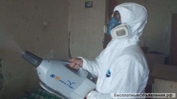 Уничтожение любых насекомых