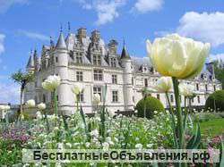 Америка виза