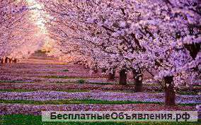 Кому по силам