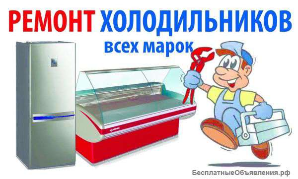 Ремонт холодильников в П-Посаде и районе