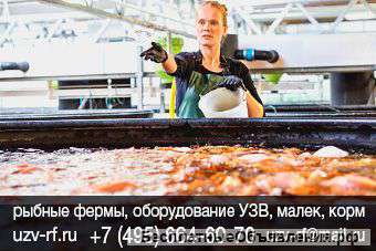 УЗВ для осетра в России от производителя. Купить УЗВ для выращивания осетра цена узв для разв